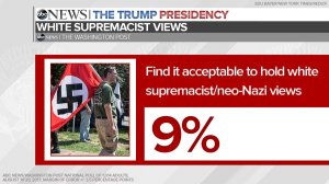 9% of the respondents to an ABC News poll say that it's acceptable for someone to hold White Sutpremacist/neo-Nazi views.